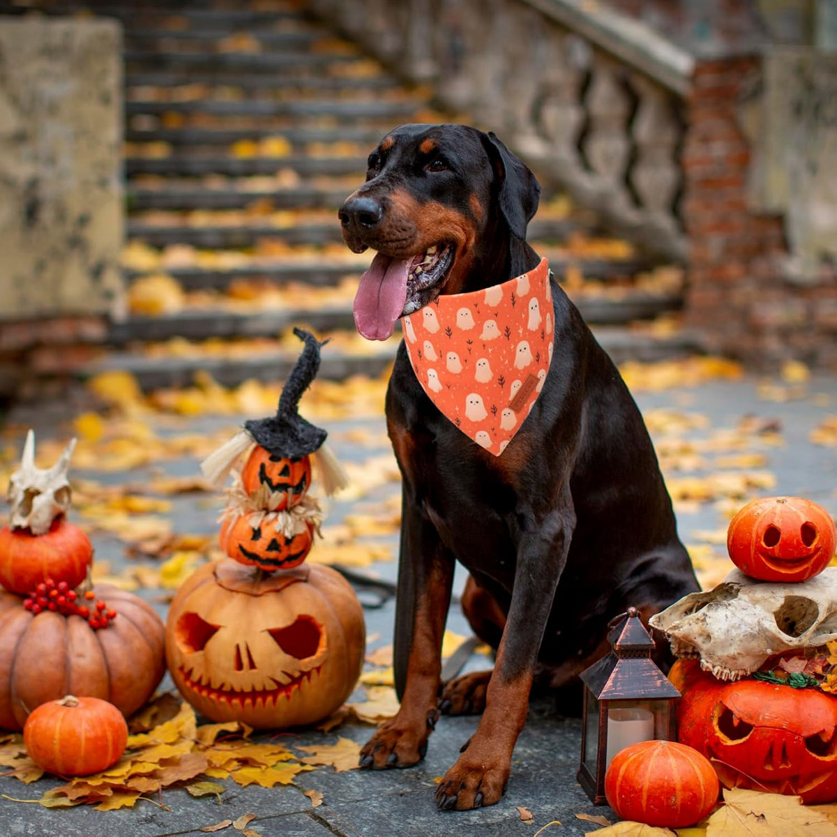 PTDECOR Halloween Dog Bandana, Ghost Pumpkin Design Reversible Holiday Dog Scarf, Triangle