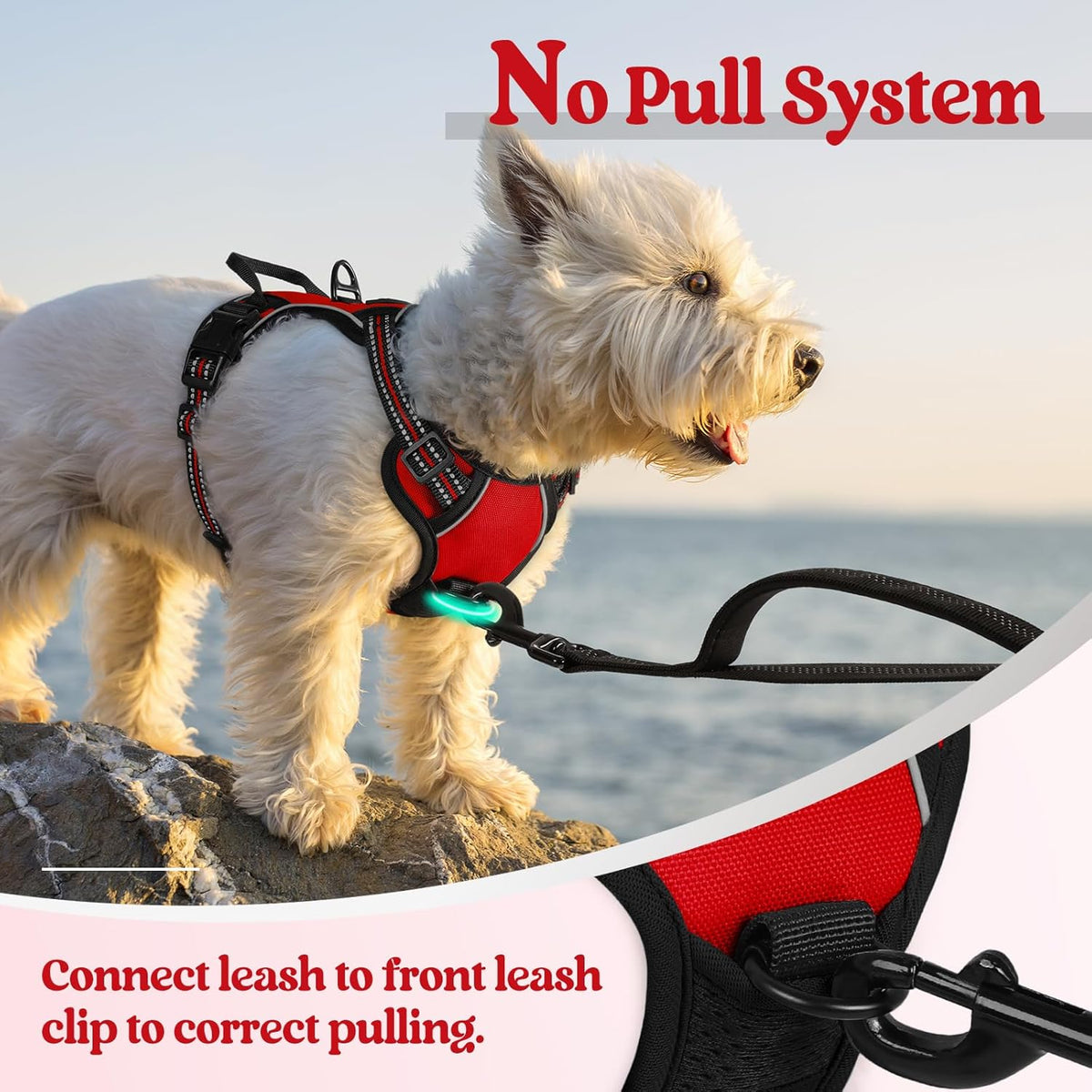 rabbitgoo Dog Harness No Pull with 2 Leash Clips, Adjustable Soft Padded, Reflective Oxford No