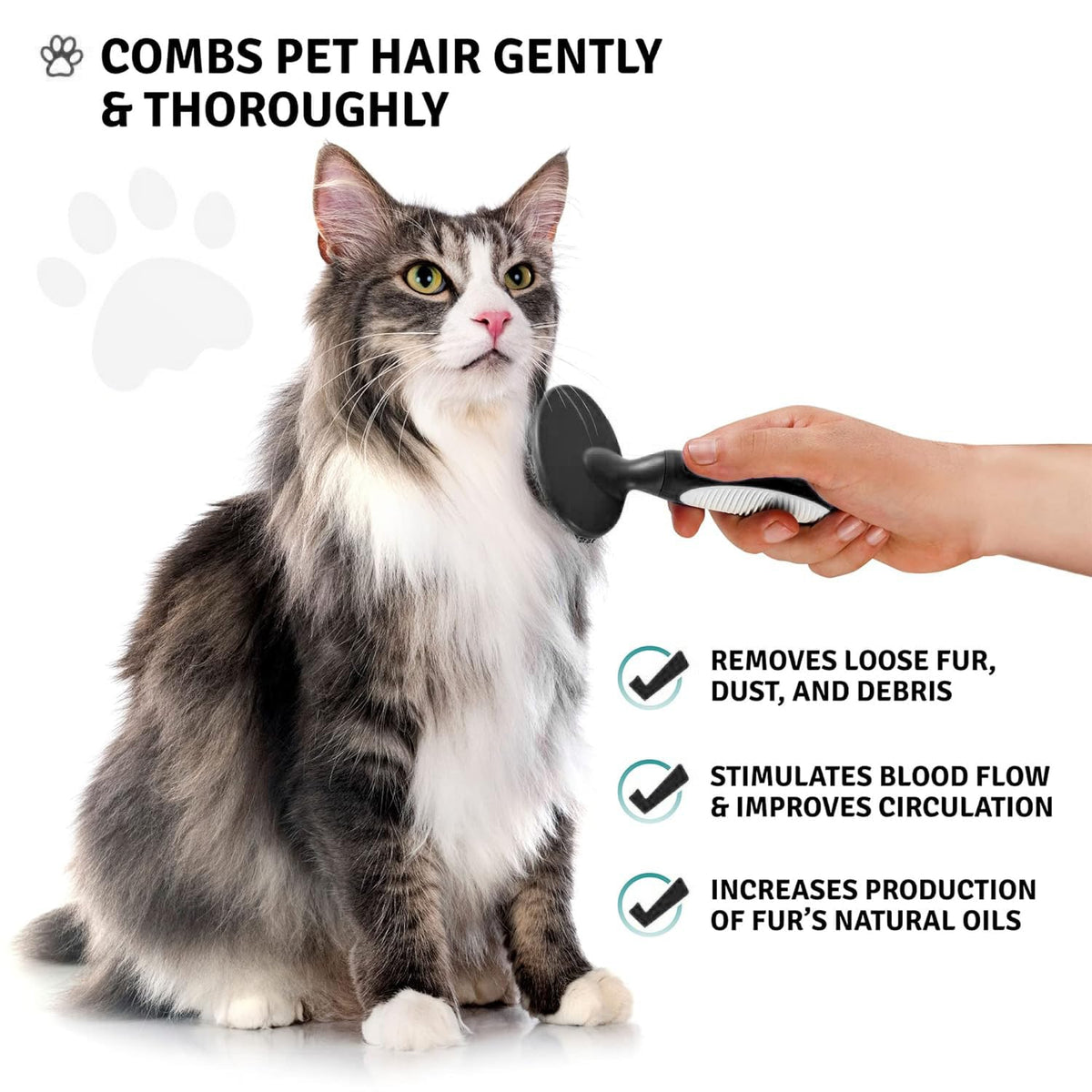 Round Bristle Pet Brush for Dogs and Cats - Soft Dog Brush for Grooming Short or Long Hair - Gentle