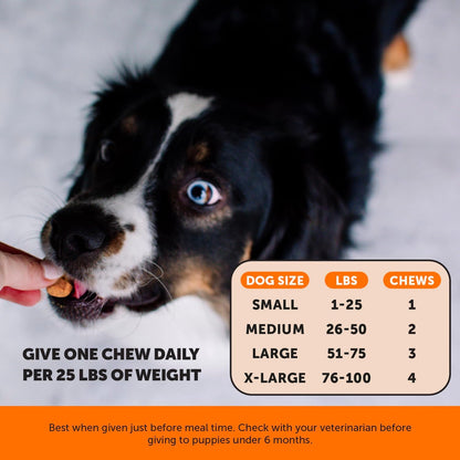 Hip & Joint Turmeric Health - Joint Supplement for Dogs, Omega-3 Fish Oil, Turmeric to Support