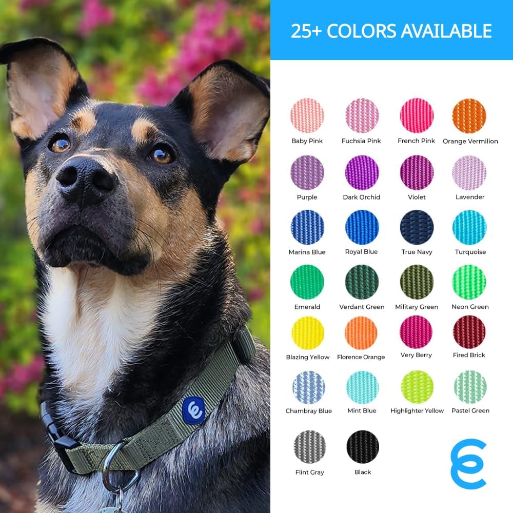Blueberry Pet Essentials X-Small Dog Collar in Neon Green | Adjustable & Eco-Friendly Durable Nylon
