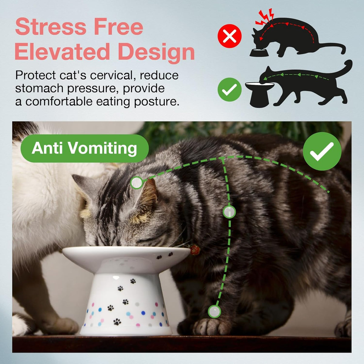 Necoichi Raised Cat Food Bowl – Ceramic Elevated Cat Bowl for Whisker & Neck Fatigue, Dishwasher