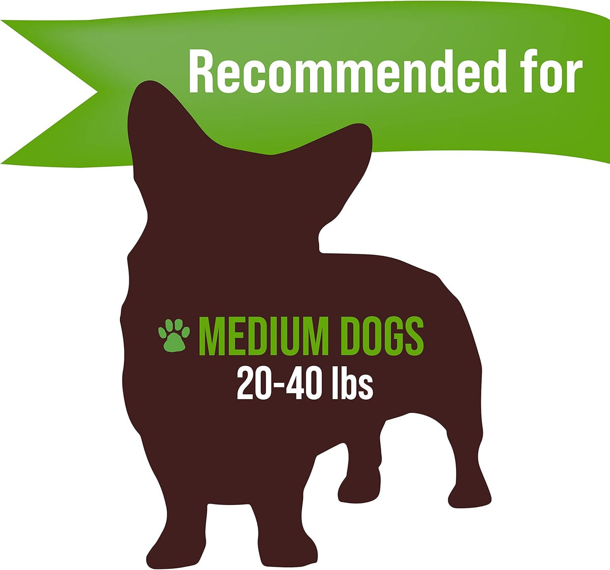 Buck Bone Organics Dog Chews, Antlers for Dogs, Premium Natural Elk, Long Lasting Dog Bones for