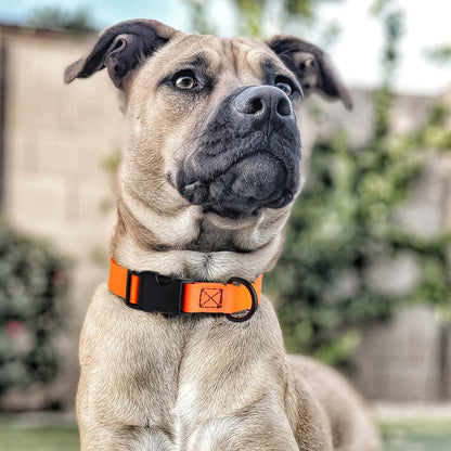 Dogline Biothane Waterproof Dog Collar with Quick Release Buckle Strong Coated Nylon Webbing with