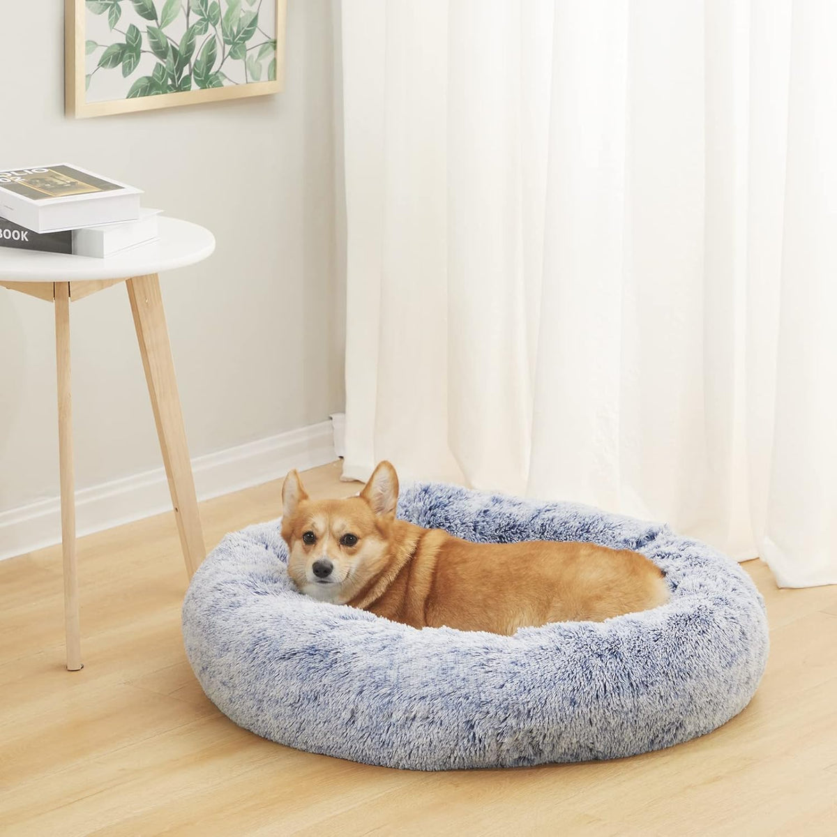 Bedfolks Calming Donut Dog Bed, 30 Inches Round Fluffy Dog Beds for Medium Dogs, Anti-Anxiety Plush