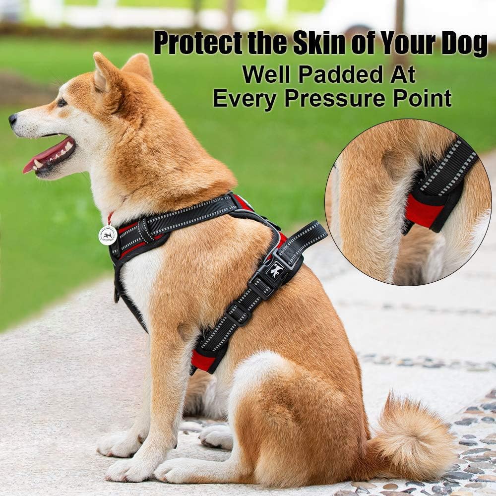 PoyPet No Pull Dog Harness, Reflective Comfortable Vest Harness with Front & Back 2 Leash
