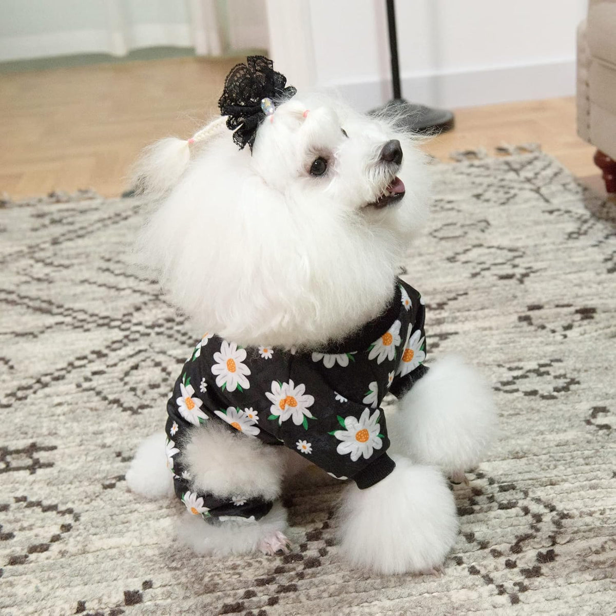 CuteBone Small Dogs Outfit Soft Puppy Onesies Pjs Dog Pajamas Pet Coat Cat Apparel Comfy Doggie