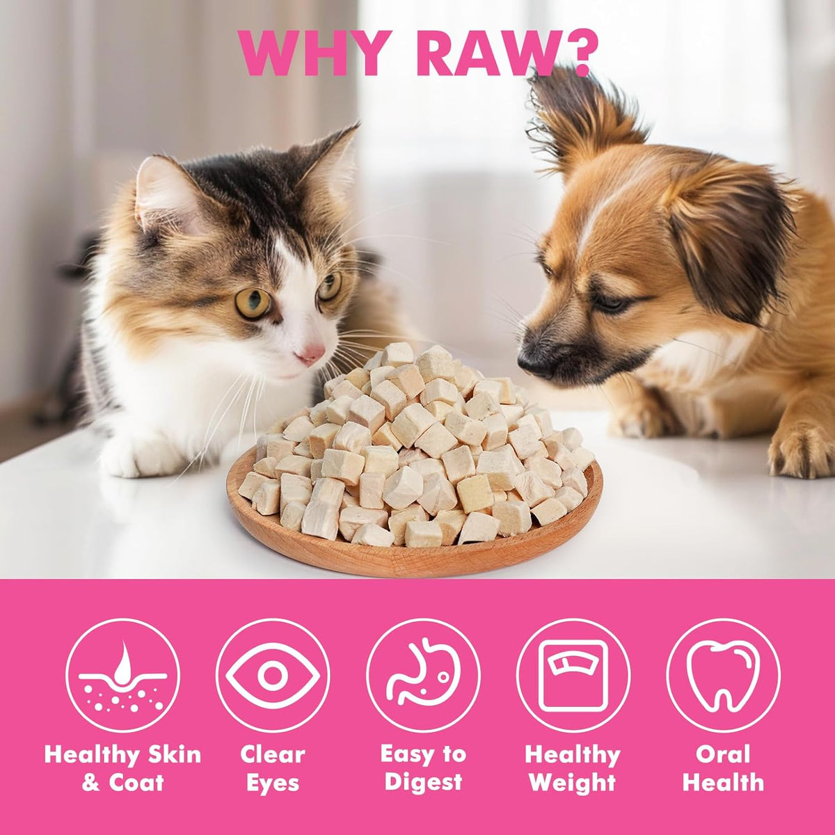 Freeze Dried Cats & Dogs Raw Treats, All Natural Single Ingredient Chicken Breast, High Protein