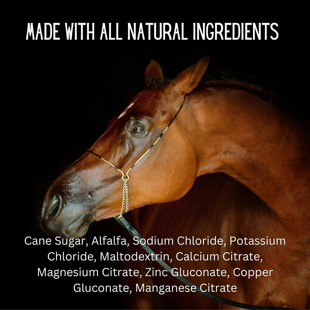Gallagher's Water 120 Pack All-Natural Patented Equine Hydration Treat - Enhancement Powder Mix
