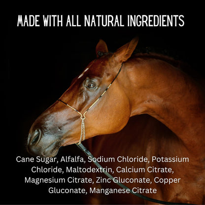 Gallagher's Water 120 Pack All-Natural Patented Equine Hydration Treat - Enhancement Powder Mix