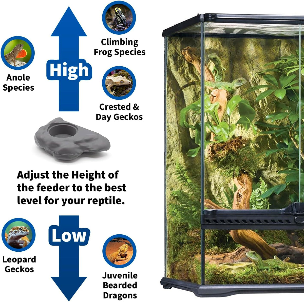 Pangea Silicone Gecko Feeding Ledge - Magnetic Mini Food Dish for Reptile Tank - 4.125" x 2.625" x