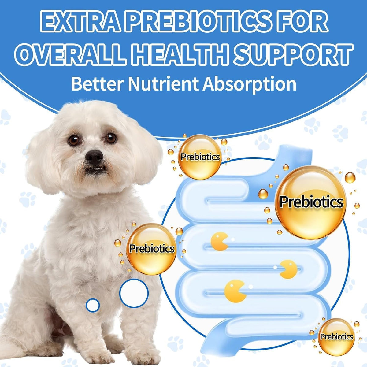 Natural Antibiotics for Dogs, Herbal Dog Antibiotics Supplement with Prebiotics for Dog Allergy