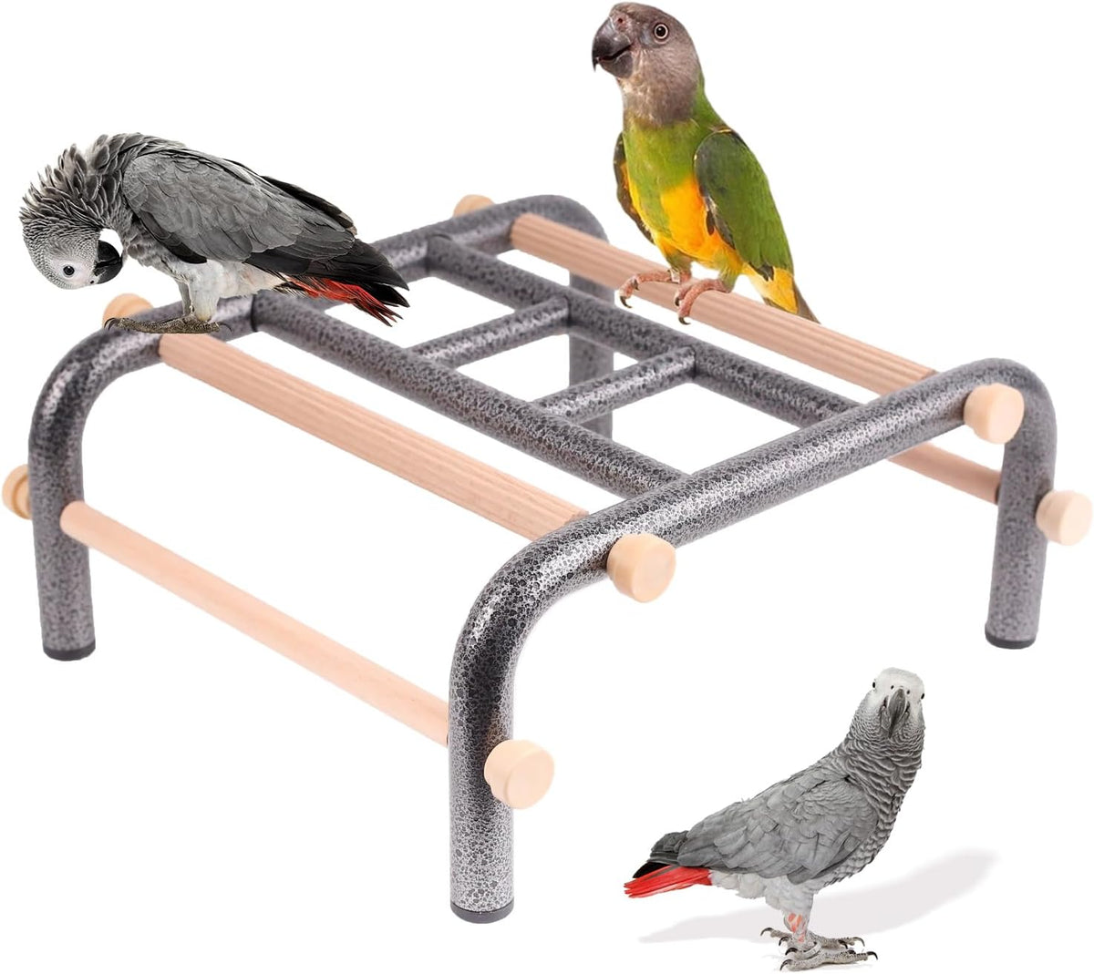 Metal Ladder Large Bird Training Perch for Fun and Exercising, No Tool Quick Install Heavy-Duty