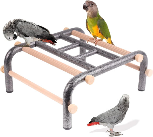 Metal Ladder Large Bird Training Perch for Fun and Exercising, No Tool Quick Install Heavy-Duty