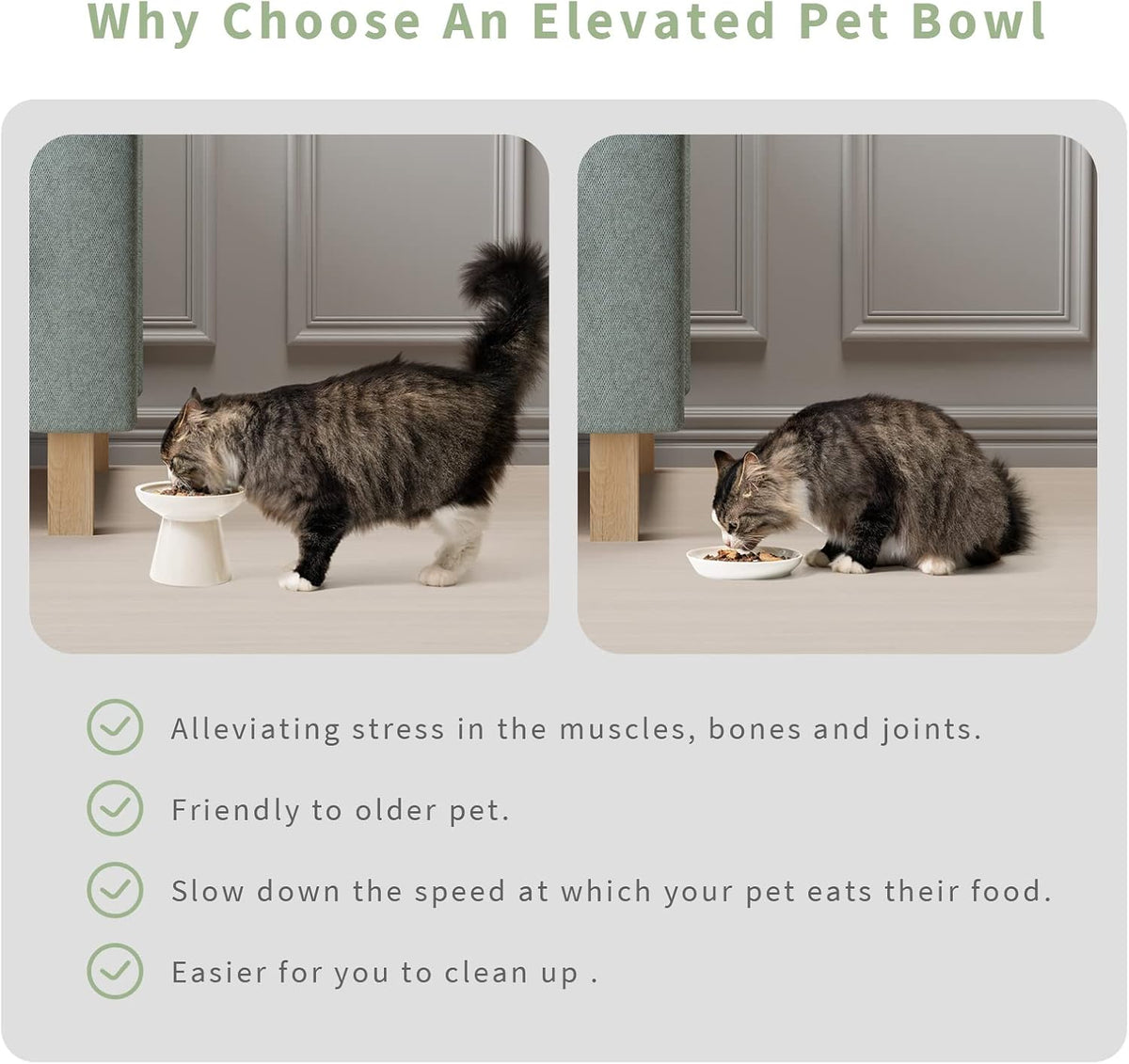 Extra Wide Elevated Ceramic Cat Bowl, 6.2" Shallow Dish for Whisker Fatigue Relief, 5" Height for