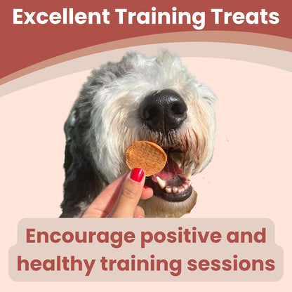 Farm To Pet Dog Training Treats, Healthy Turkey Chips for Dogs - 4 oz, 100% Human Grade Turkey