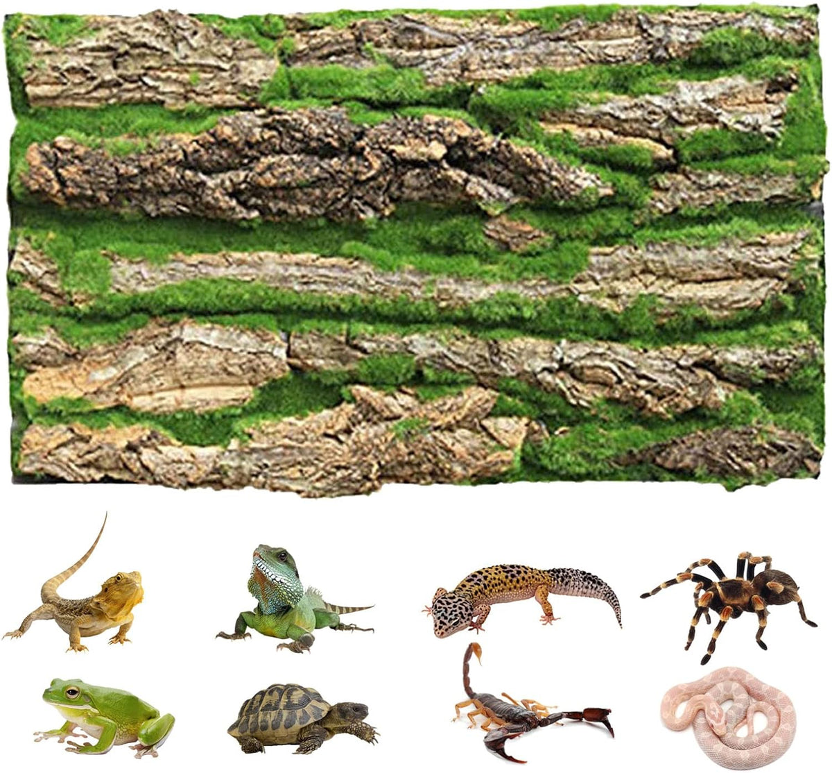 PINVNBY Reptile Cork Terrarium Background,Bearded Dragon Tank Natural Bark Backdrop Wall Habitat