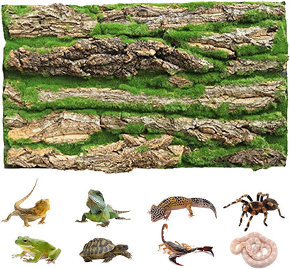 PINVNBY Reptile Cork Terrarium Background,Bearded Dragon Tank Natural Bark Backdrop Wall Habitat