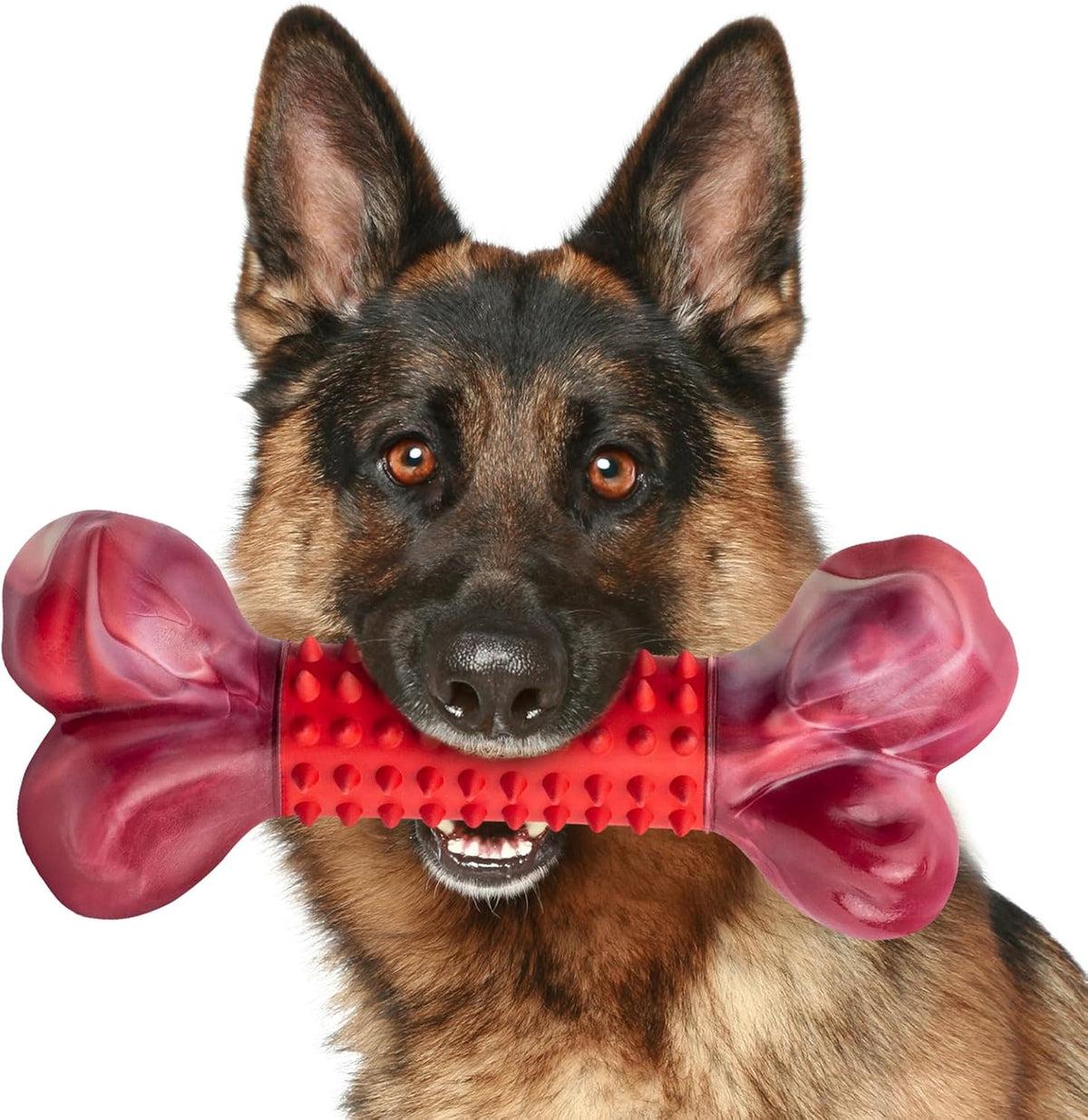 Apasiri Tough Dog Toys for Aggressive Chewers Beef Flavor: 8" Dog Chew Bone for Large Breed, Nylon