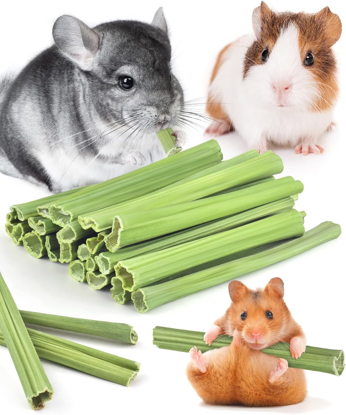 Bissap 25 PCS Guinea Pigs Chew Sticks, Natural Papaya Stems Bunny Chews Treats for Hamsters