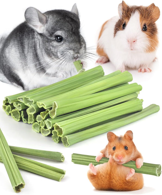 Bissap 25 PCS Guinea Pigs Chew Sticks, Natural Papaya Stems Bunny Chews Treats for Hamsters