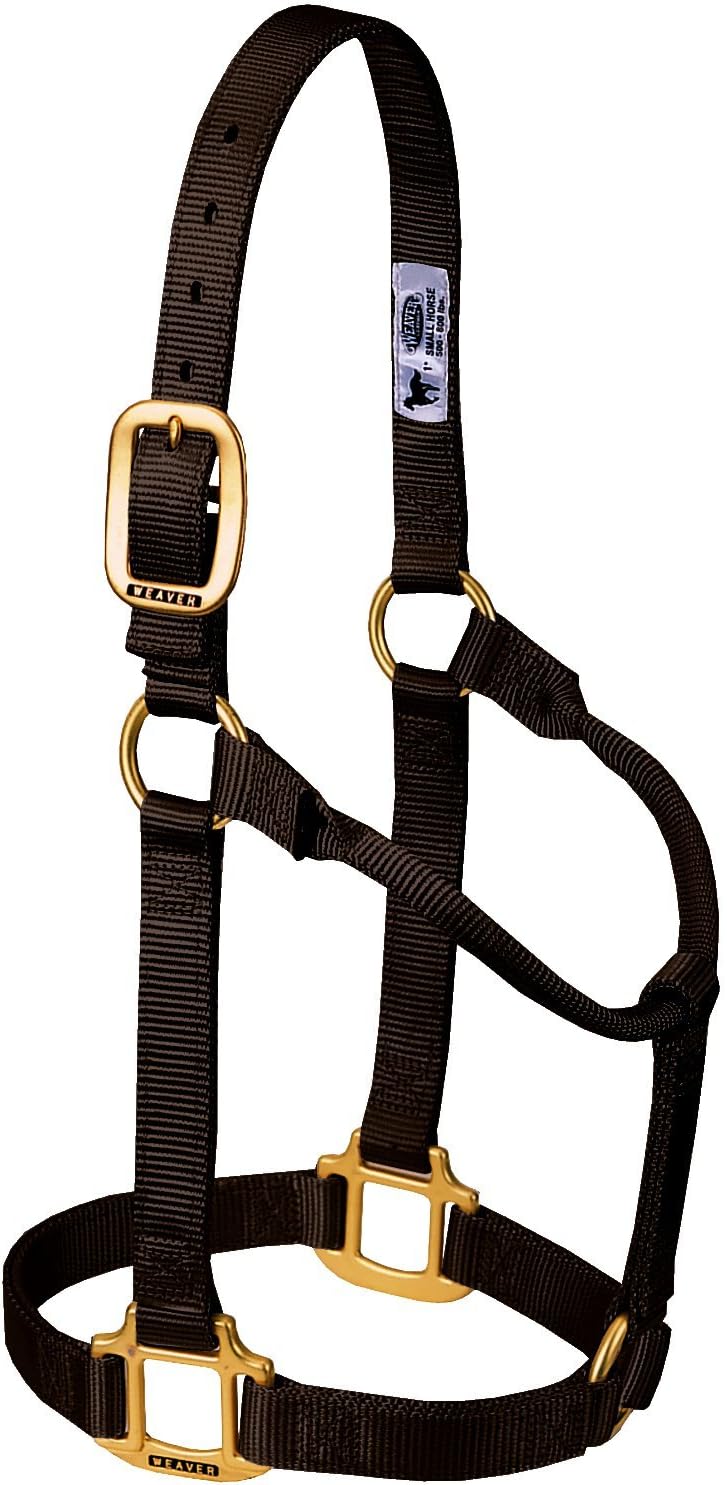 Weaver Equine Nylon Horse Halter, Triple-Ply Cheek Design, Original Non Adjustable Halters for
