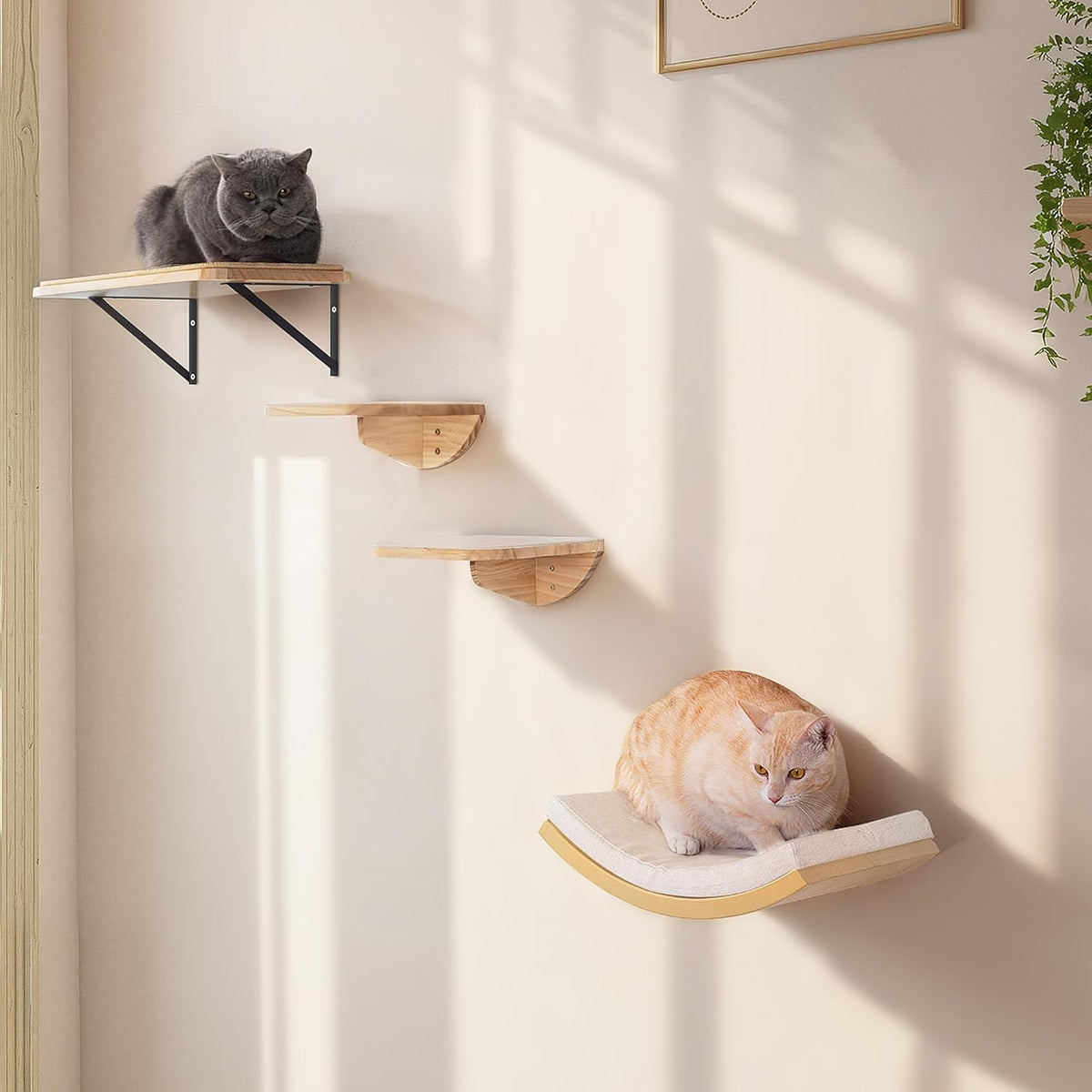Cat Wall Shelf & Window Perch Combo, Wood Cats Wall Furniture with Soft Foam Curved Bed and
