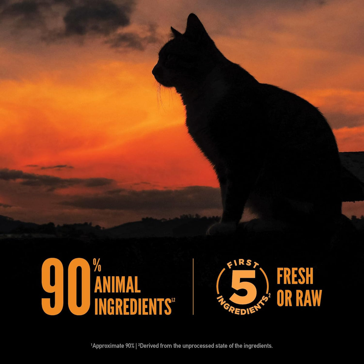 ORIJEN Wild Reserve Dry Cat Food Free-Run Chicken & Wild-Caught Fish Recipe 3.5lb Bag