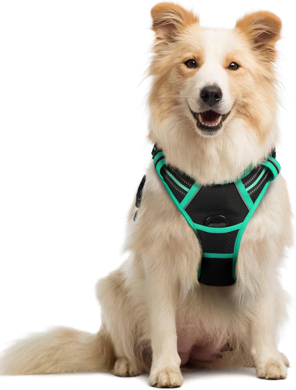 rabbitgoo Dog Harness No Pull with 2 Leash Clips, Adjustable Soft Padded, Reflective Oxford No