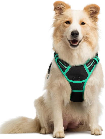 rabbitgoo Dog Harness No Pull with 2 Leash Clips, Adjustable Soft Padded, Reflective Oxford No