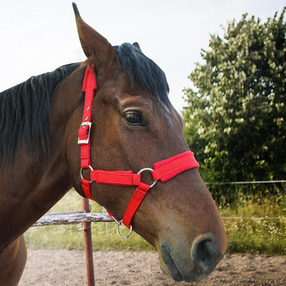 Horse Halter with Wool Lining, Adjustable Halter for Horses Satin Hardware to Prevent Friction