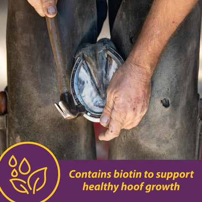Horse Health Vita Biotin Crumbles horse hoof Supplement, Helps maintain healthy, sound hooves and