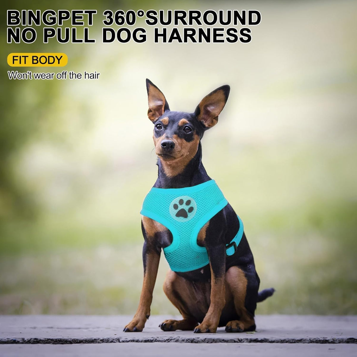 BINGPET No Pull Dog Harness,Soft Mesh Breathable All Weather Vest Harness,Safety Protection Design