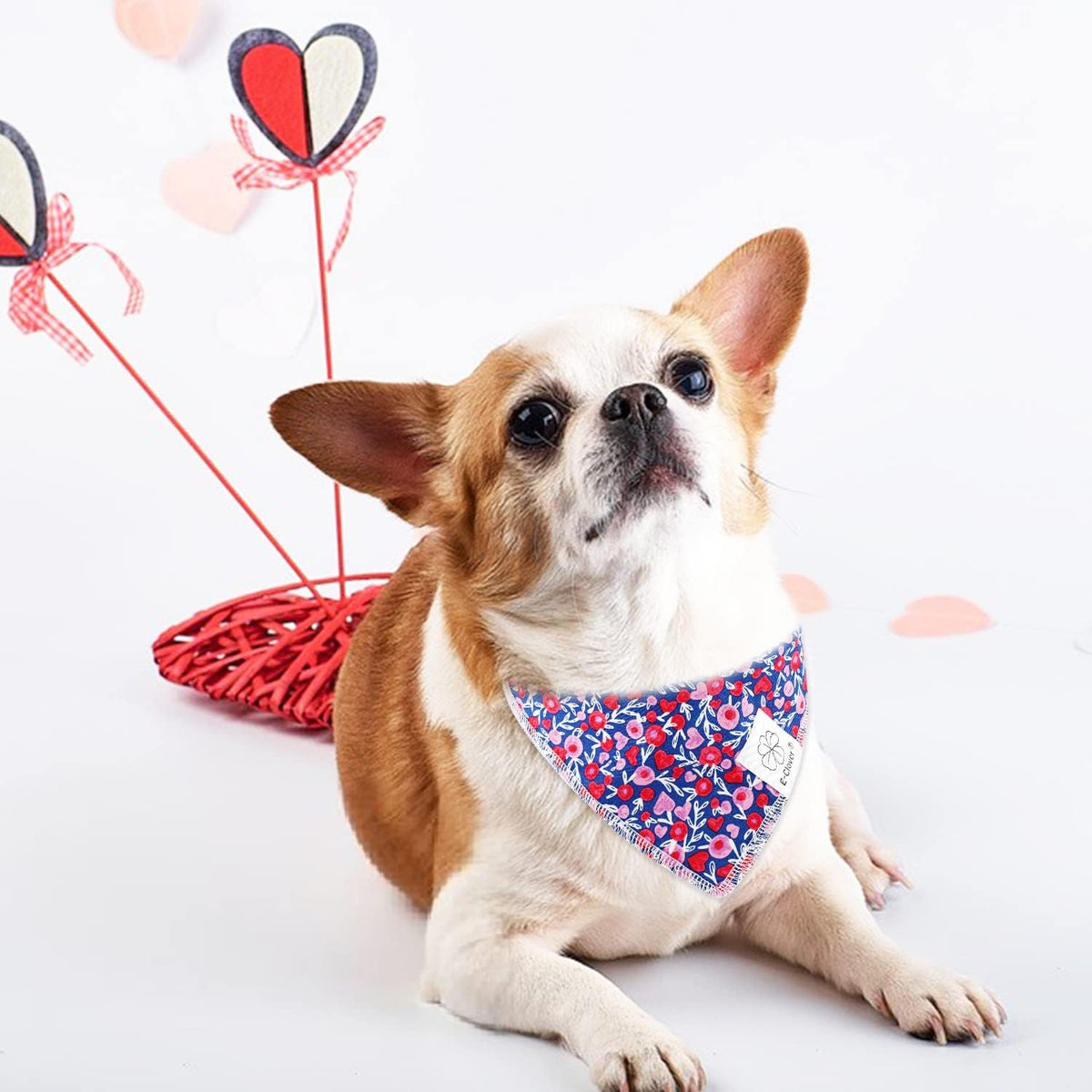 E-Clover Cute Girl Dog Bandanas & Matching Scrunchie Set Heart Dog Bandana Scarf with Bow Hair Ties
