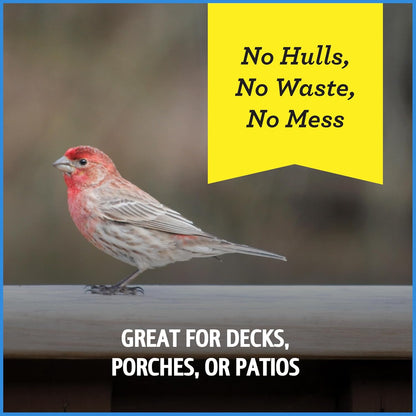 Pennington Select Chips & Bits Wild Bird Seed for Outside Feeders, High-Protein, No-Hull &