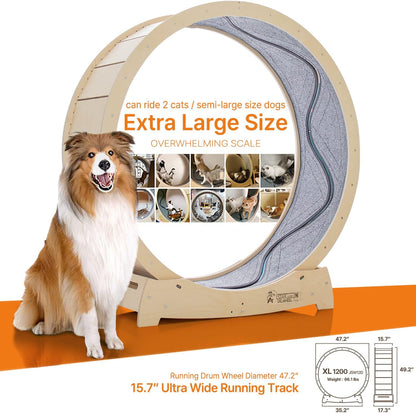 Star Cat Wheel, Cat Treadmill, Exercise Wheel for Running, Spinning, Scratching, and Climbing for