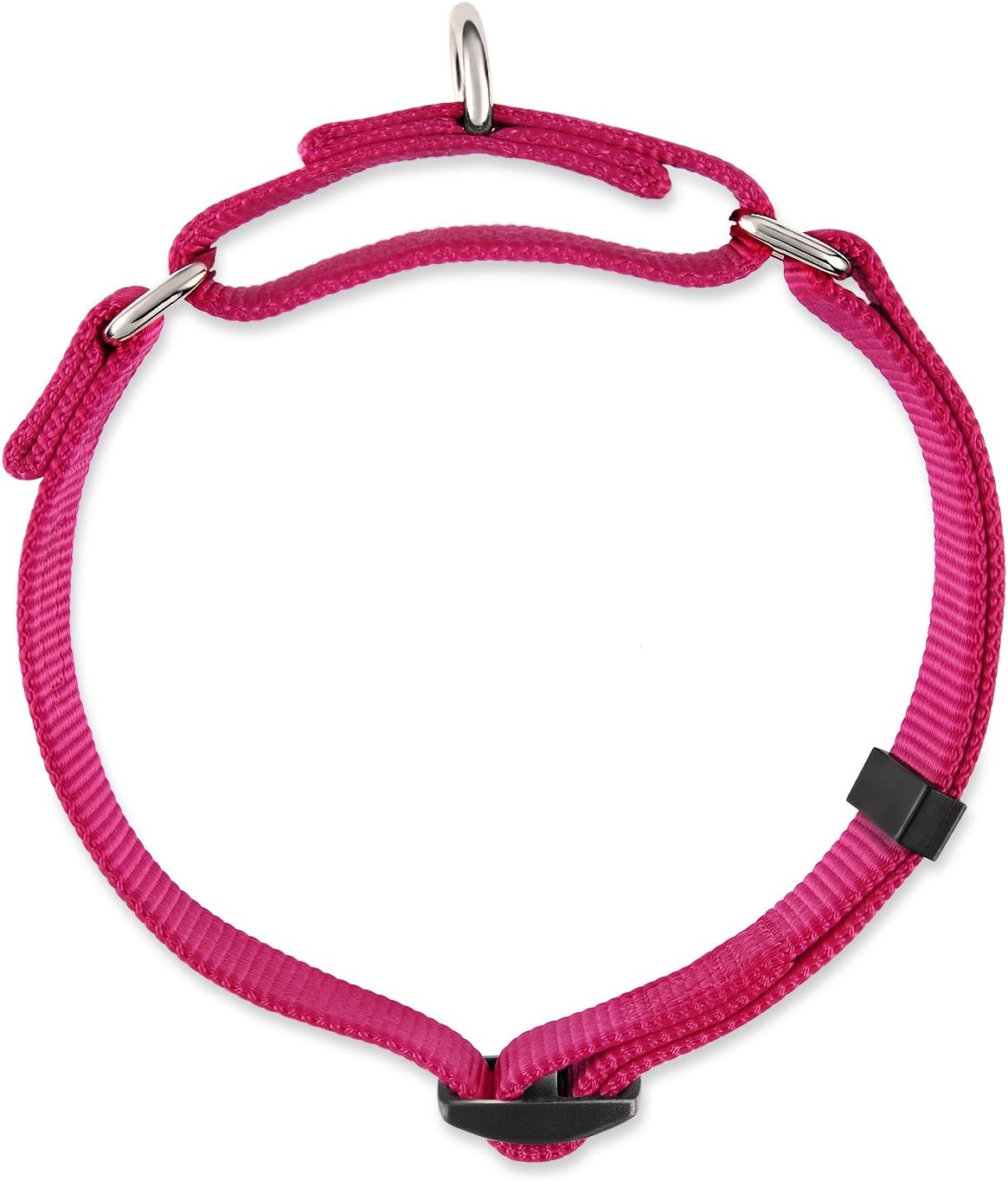 Hyhug Martingale Dog Collar Without Buckle: Anti Escape, No Slip Heavy - Duty Nylon, Colorfast &