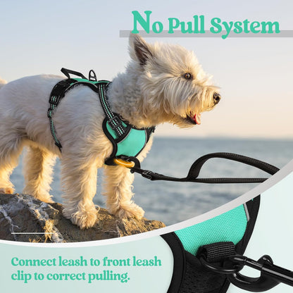 rabbitgoo Dog Harness No Pull with 2 Leash Clips, Adjustable Soft Padded, Reflective Oxford No