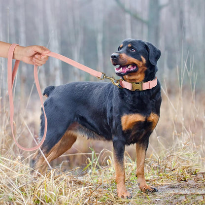 Didog Soft PU Leather Dog Collar, Stylish Quick Released Dog Collars for Large Dogs, Easy Clean