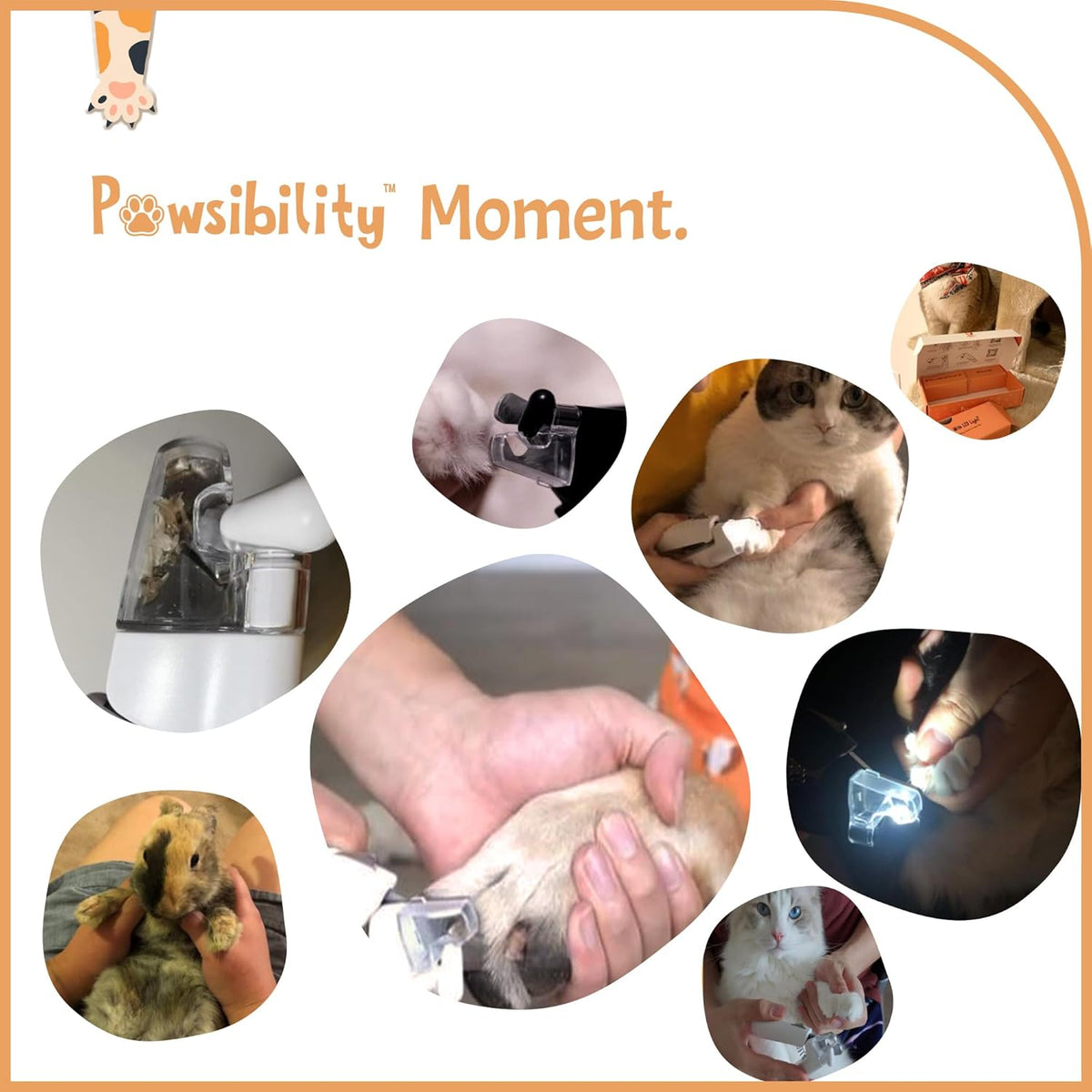 Reinvented Pet Nail Clippers for Your Pal - USB Rechargeable LED Light for Bloodline | Razor Sharp