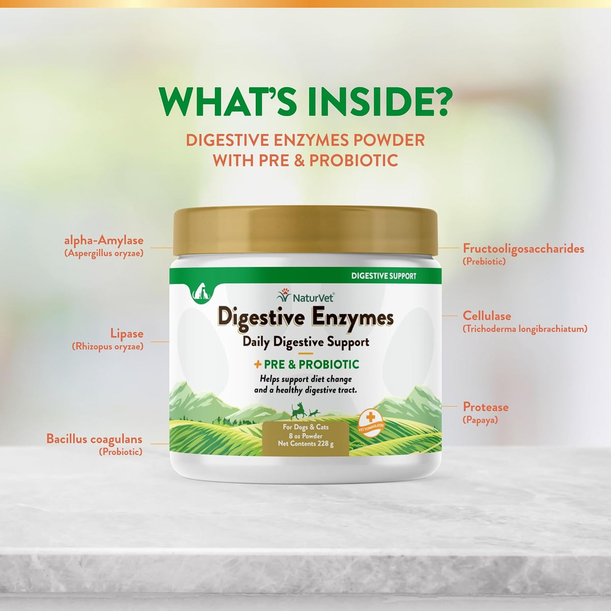 NaturVet – Digestive Enzymes for Dogs - Plus Probiotics & Prebiotics | Helps Support Diet Change &