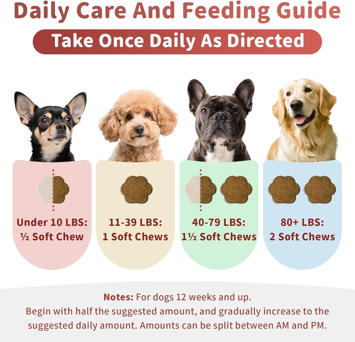 Dog Allergy Chews, Probiotics for Dog Allergy Relief - Itchy Skin and Itchy Ears - Allergy Paw