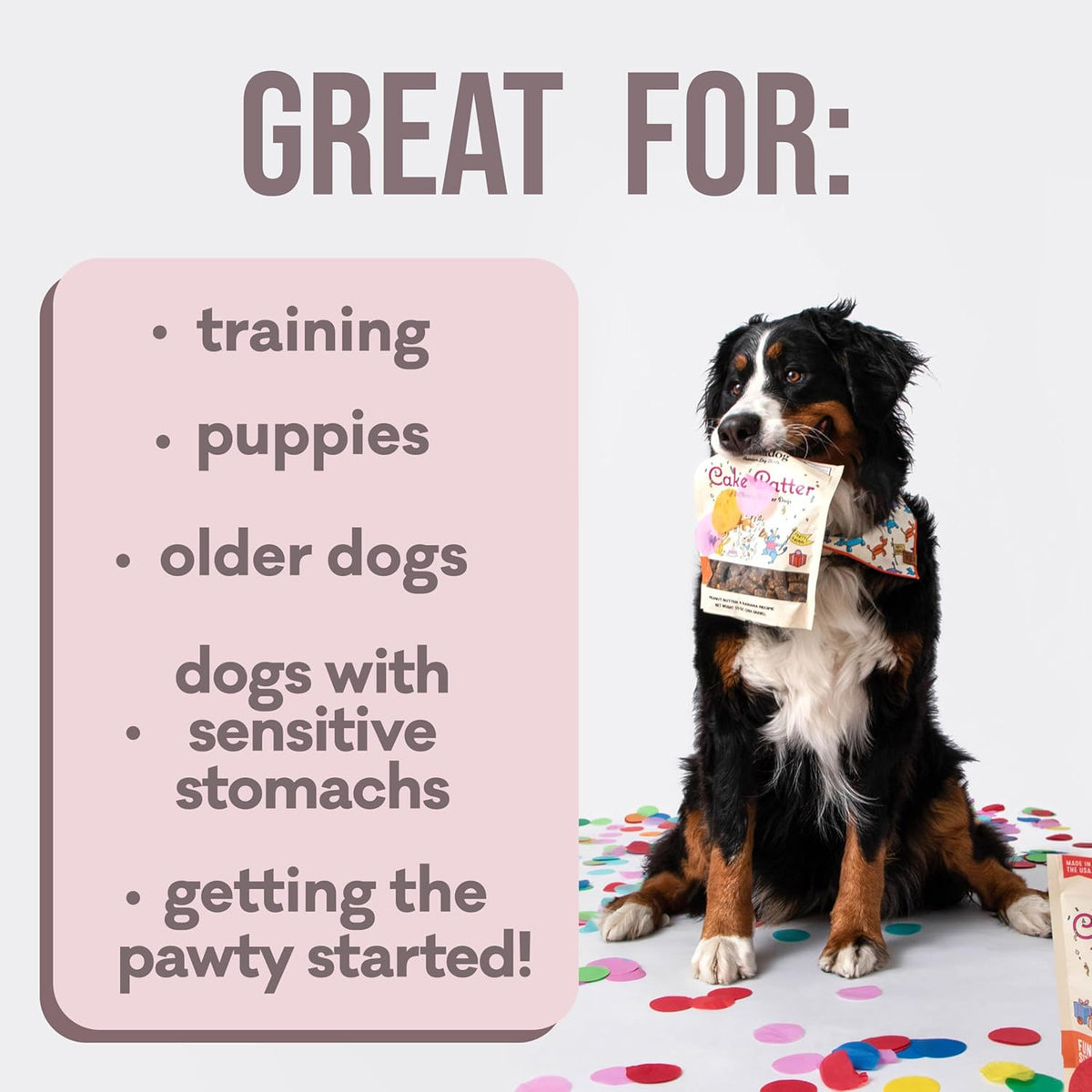 Polkadog Cake Batter Dog Treats – Soft & Chewy Premium Birthday Treats with Peanut Butter & Banana