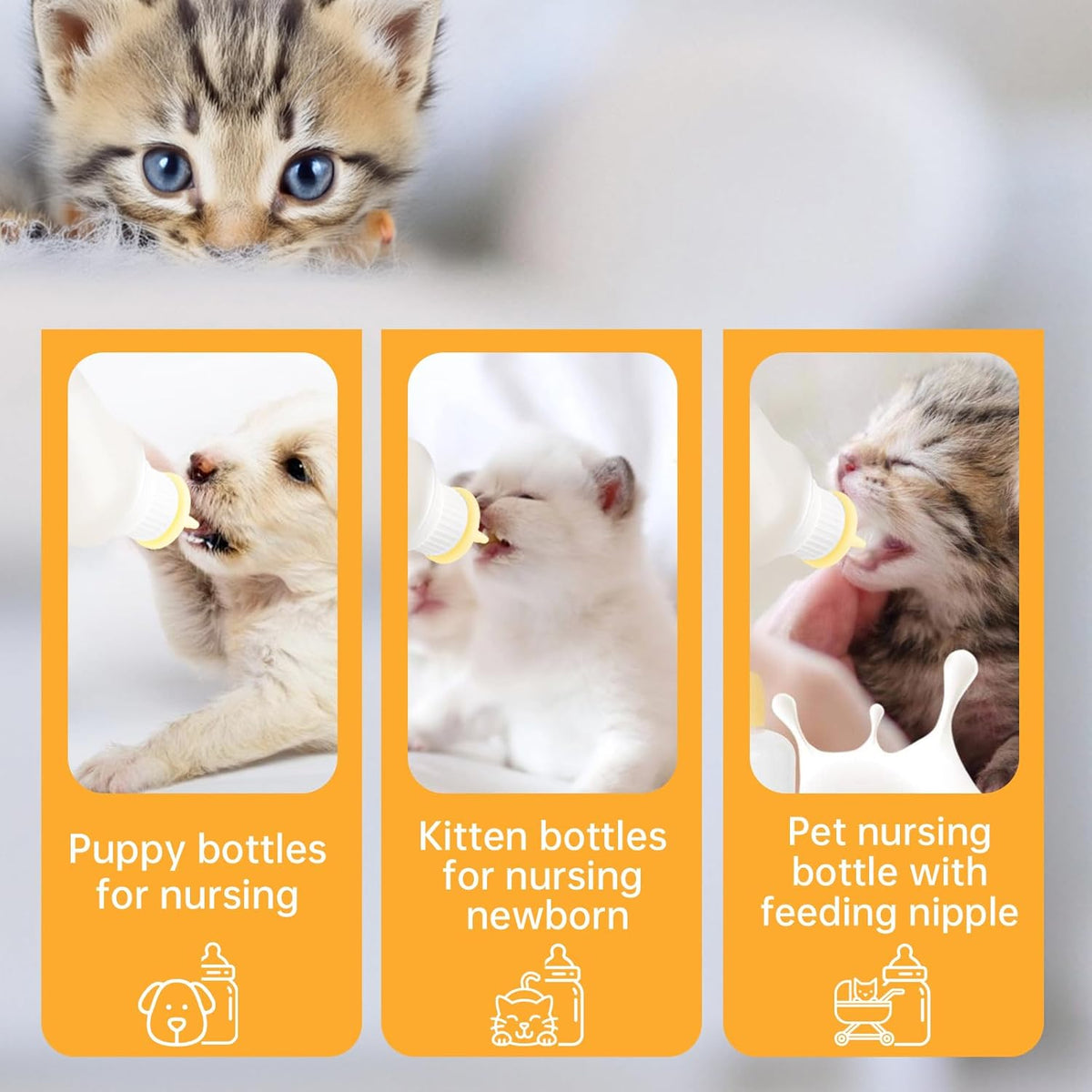 5Pack Kitten Bottle for Nursing Puppy Milk Kitten Bottles Feeding Kit Silicone Nipple for Newborn
