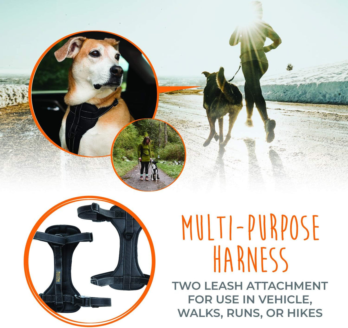 Mighty Paw Dog Car Harness - Vehicle Safety Gear - 2 Leash Attachment - Adjustable Straps