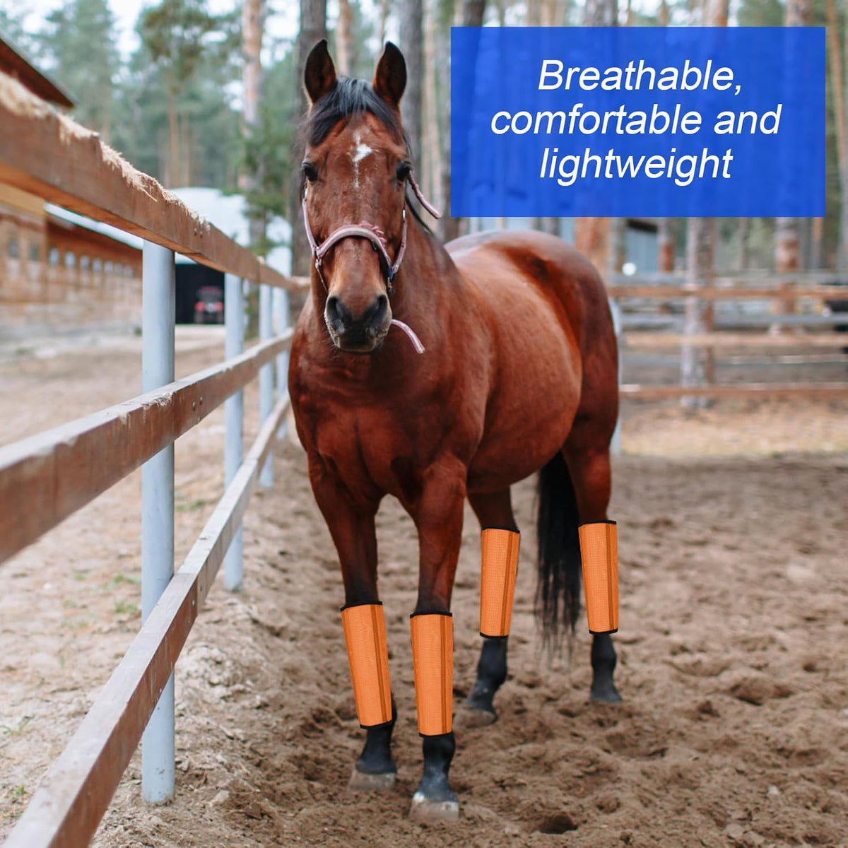 8 Pcs Mesh Fly Boots for Horse Breathable Mesh Horse Boots Protective Horse Leg Wraps Horse