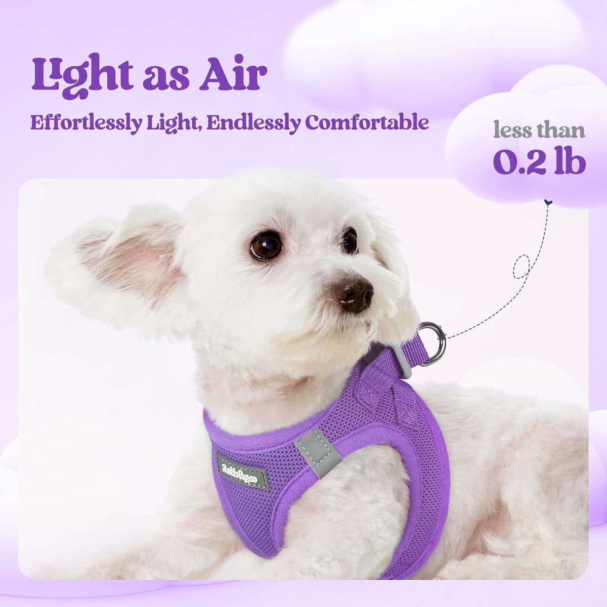 rabbitgoo Dog Harness Small Sized and Leash Set, Step in Soft Light Puppy Vest, Breathable Mesh Pet