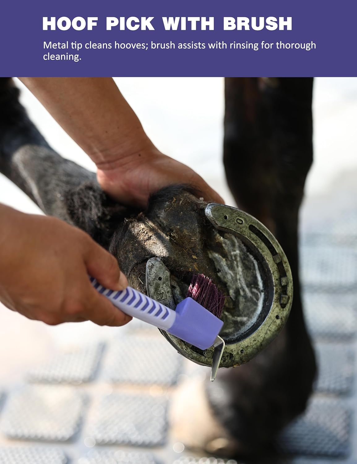11PCS Horse Grooming Kit Curry Comb Sweat Scraper Horse Bathing Supplies Grooming Tools with