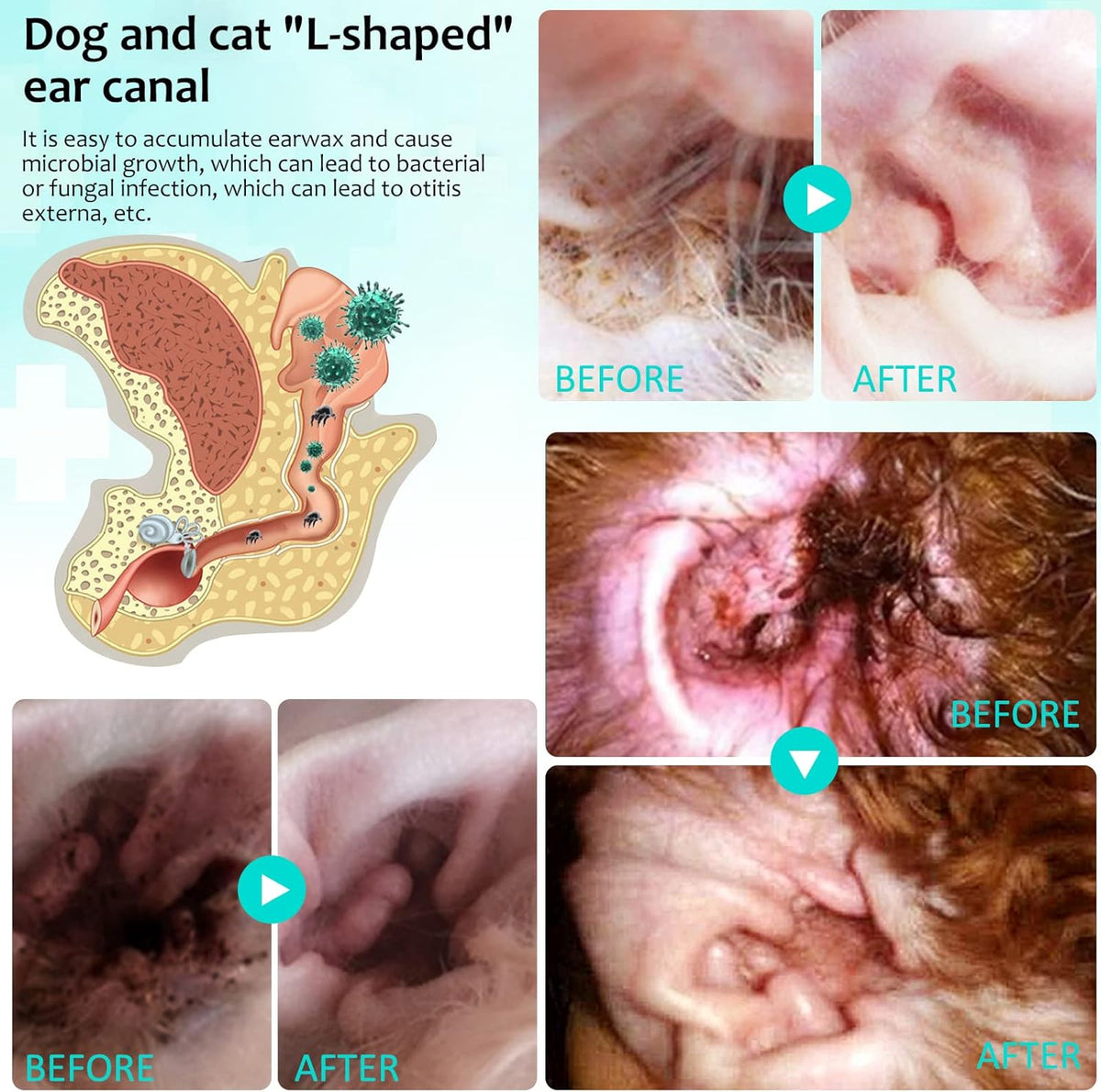 Ear Mite Treatment for Dogs 2PACK, Dog Ear Infection Treatment, Dog Ear Mite Treatment, Dog Ear