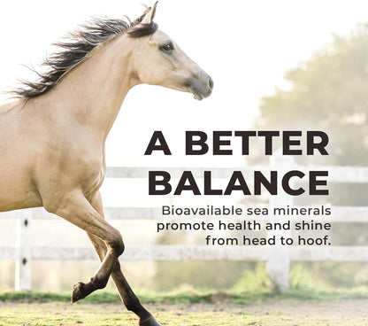 Daily Red Crushed Loose Minerals | Mineral Salt + Electrolyte Supplement for Horses (25LB Refill